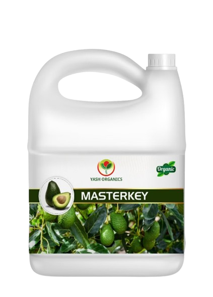 Masterkey product